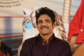 Nagarjuna @ Rangula Ratnam Movie Pre Release Event Stills