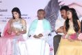 Ilayaraja, Samuthirakani @ Rani Audio Launch Stills