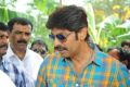 Jagapathi Babu at Rani Ranamma Movie Opening Stills