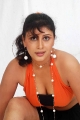 Actress Ranjitha Latest Hot Stills, Ranjitha Actress Hot Photos