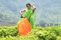 Actress Rakul Preet Singh in Rarandoi Veduka Chuddam Movie Stills