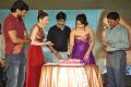 Actress Rashi Khanna 2015 Birthday Celebrations Stills