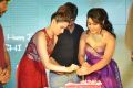 Rashi Khanna Birthday @ Bengal Tiger Movie Triple Platinum Disc Function