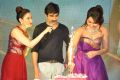 Actress Rashi Khanna 2015 Birthday Celebrations Stills