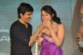 Rashi Khanna Birthday @ Bengal Tiger Movie Triple Platinum Disc Function