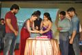 Rashi Khanna Birthday @ Bengal Tiger Movie Triple Platinum Disc Function