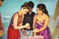 Rashi Khanna Birthday @ Bengal Tiger Movie Triple Platinum Disc Function