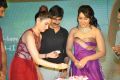 Actress Rashi Khanna 2015 Birthday Celebrations Stills