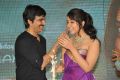 Actress Rashi Khanna 2015 Birthday Celebrations Stills