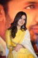 Actress Rashi Khanna Cute Pics @ Srinivasa Kalyanam Pre Release