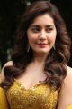 Actress Raashi Khanna Photos @ Adanga Maru Press Meet