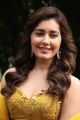 Actress Raashi Khanna Latest Photos @ Adanga Maru Press Meet