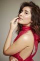 Actress Raashi Khanna New Photoshoot Images