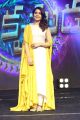 Raashi Khanna New Pics @ Balakrishnudu Audio Release