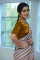 Actress Raashi Khanna New Pics @ Pratiroju Pandage Success Meet