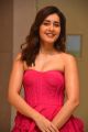 Actress Raashi Khanna Latest Pics @ Prathi Roju Pandage Pre Release