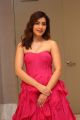 Actress Raashi Khanna Latest Pics @ Prati Roju Pandage Pre Release