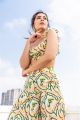 Actress Rashi Khanna Recent Photoshoot Stills