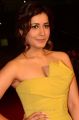 Actress Rashi Khanna New Pics @ Zee Cine Awards Telugu Red Carpet