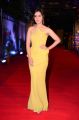 Actress Rashi Khanna New Pics @ Zee Cine Awards Telugu Red Carpet