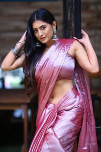 Actress Rashi Singh Saree Pics @ Bhoothaddam Bhaskar Narayana Interview