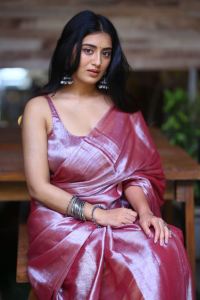 Bhoothaddam Bhaskar Narayana Actress Rashi Singh Saree Pics