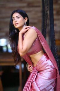 Bhoothaddam Bhaskar Narayana Actress Rashi Singh Saree Pics