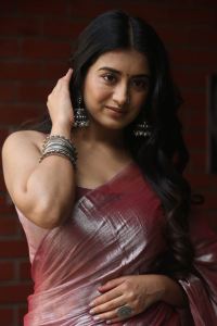 Bhoothaddam Bhaskar Narayana Actress Rashi Singh Saree Pics