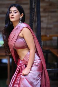 Bhoothaddam Bhaskar Narayana Heroine Rashi Singh Saree Pics