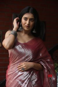 Bhoothaddam Bhaskar Narayana Heroine Rashi Singh Saree Pics