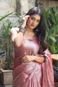 Bhoothaddam Bhaskar Narayana Actress Rashi Singh Saree Pics