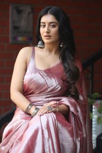 Actress Rashi Singh Hot Saree Pics @ Bhoothaddam Bhaskar Narayana Interview