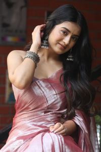 Bhoothaddam Bhaskar Narayana Actress Rashi Singh Saree Pics