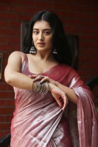 Bhoothaddam Bhaskar Narayana Heroine Rashi Singh Saree Pics