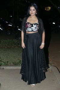 Actress Rashi Singh Latest Stills @ Bhoothaddam Bhaskar Narayana Pre Release