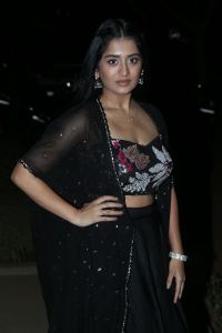 Actress Rashi Singh Stills @ Bhoothaddam Bhaskar Narayana Pre Release