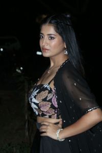 Bhoothaddam Bhaskar Narayana Heroine Rashi Singh Latest Stills