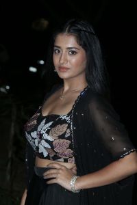 Actress Rashi Singh Stills @ Bhoothaddam Bhaskar Narayana Pre Release