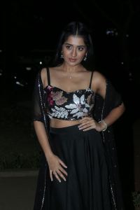 Actress Rashi Singh Stills @ Bhoothaddam Bhaskar Narayana Pre Release