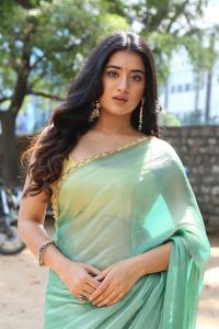 Actress Rashi Singh Saree Stills @ Bhoothaddam Bhaskar Narayana Success Meet