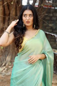 Bhoothaddam Bhaskar Narayana Actress Rashi Singh Saree Stills