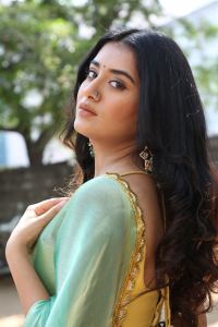 Bhoothaddam Bhaskar Narayana Heroine Rashi Singh Saree Stills