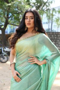 Actress Rashi Singh Saree Stills @ Bhoothaddam Bhaskar Narayana Success Meet