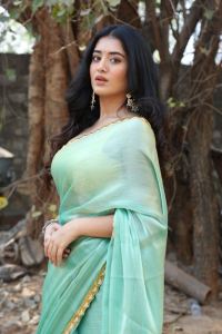 Bhoothaddam Bhaskar Narayana Actress Rashi Singh Saree Stills