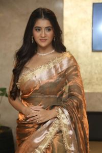 Actress Rashi Singh Silk Saree Pics @ Prasanna Vadanam Pre Release