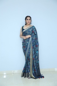 Bomma Blockbuster Movie Heroine Rashmi Gautam Saree Pics