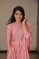 Actress Rashmika Mandanna @ Chalo Success Meet