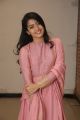 Actress Rashmika Mandanna New Photos @ Chalo Movie Success Meet