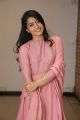 Actress Rashmika Mandanna New Photos @ Chalo Movie Success Meet