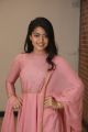 Actress Rashmika Mandanna Photos @ Chalo Success Meet